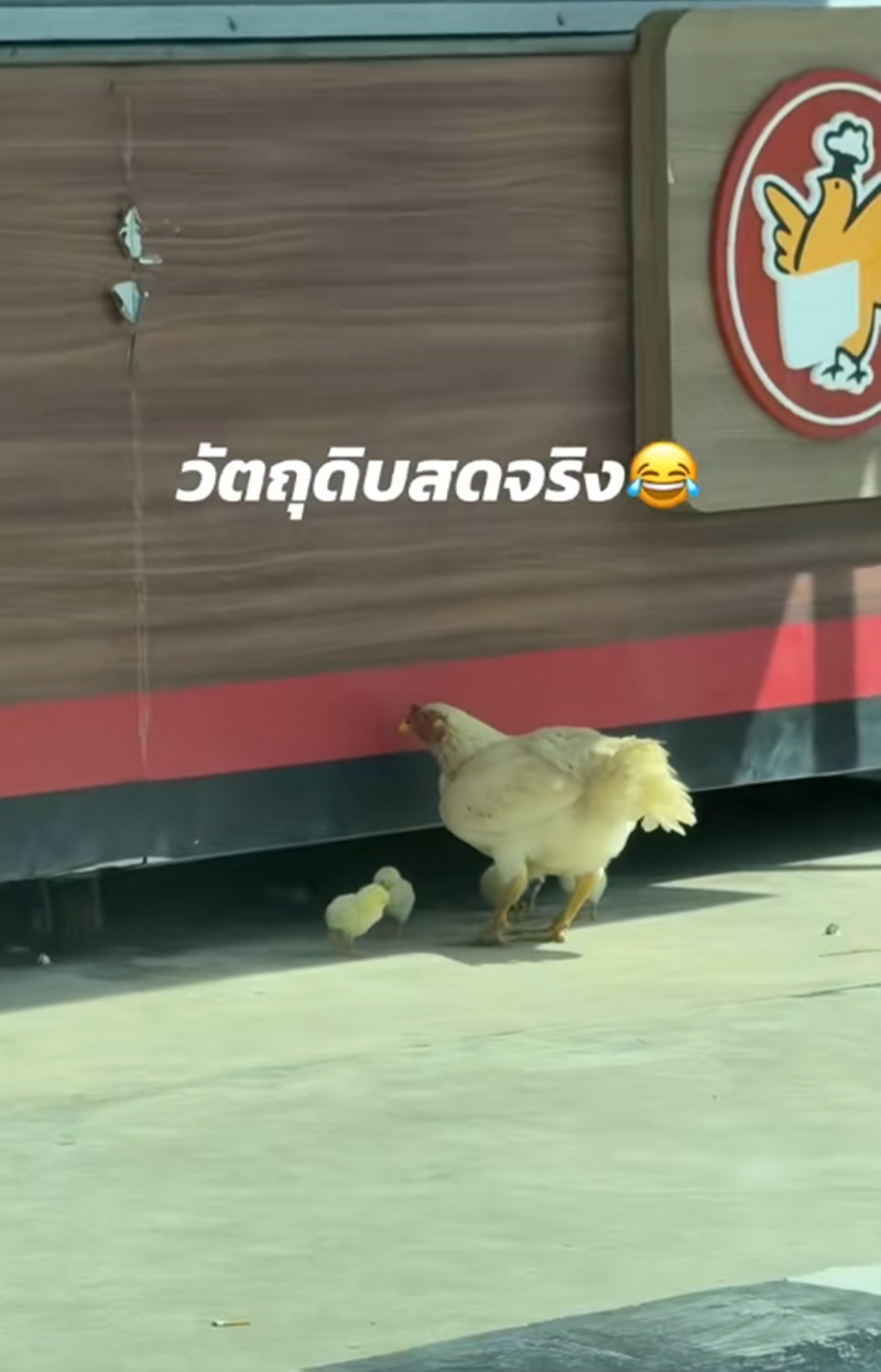ร้านขายไก่