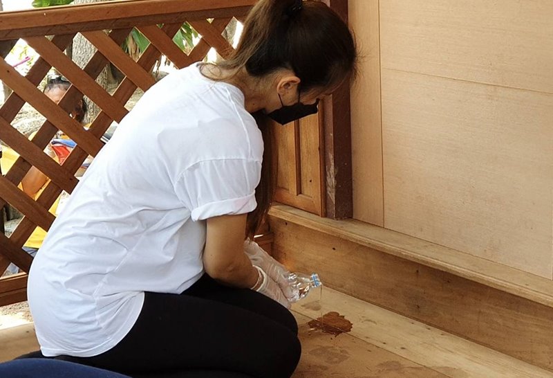 นก อุษณีย์