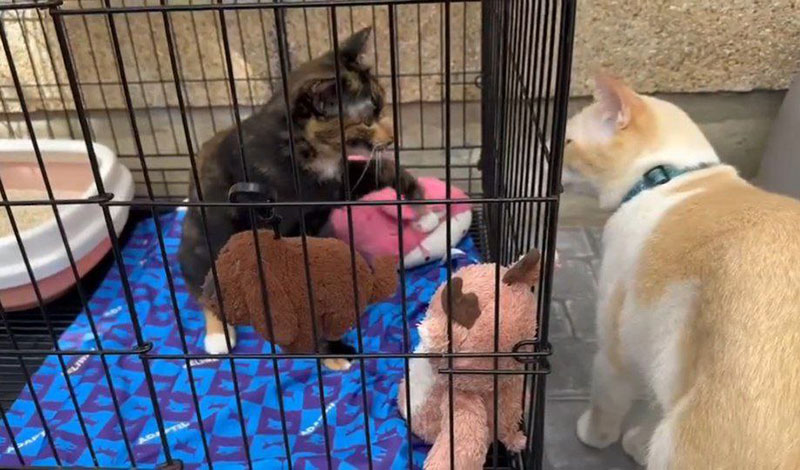  สรยุทธ สุทัศนะจินดา เล่าโมเมนต์ จอห์น เลอา เผชิญหน้า โดนแซว ไม่เลี้ยง แต่อยู่บ้านแล้ว