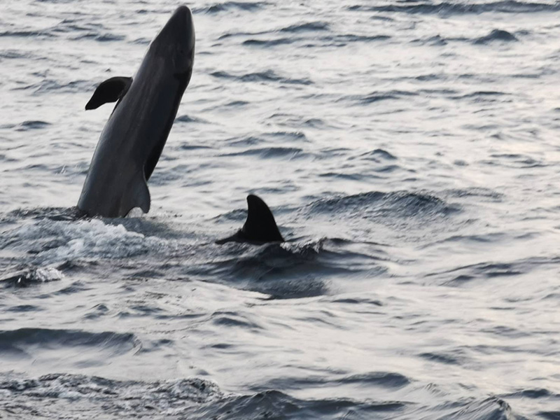 ที่เที่ยวทะเล