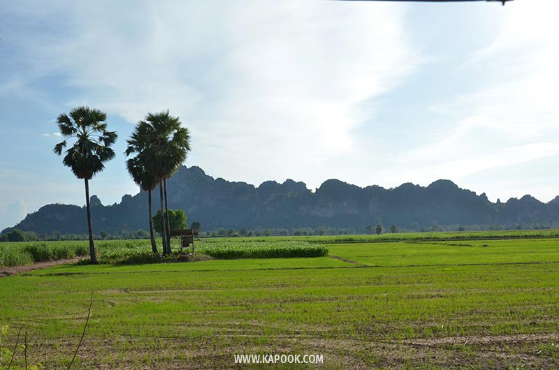 เนินมะปราง พิษณุโลก