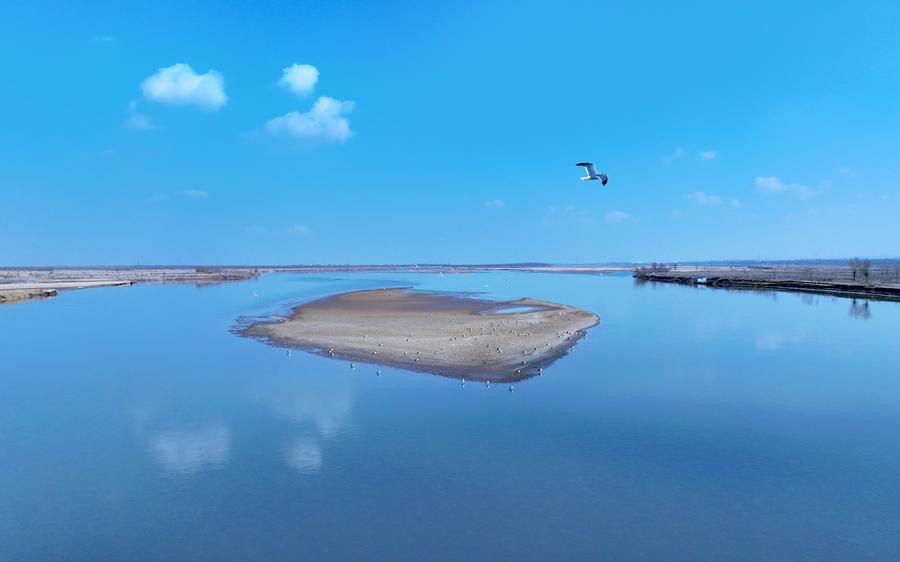 แม่น้ำเหลือง