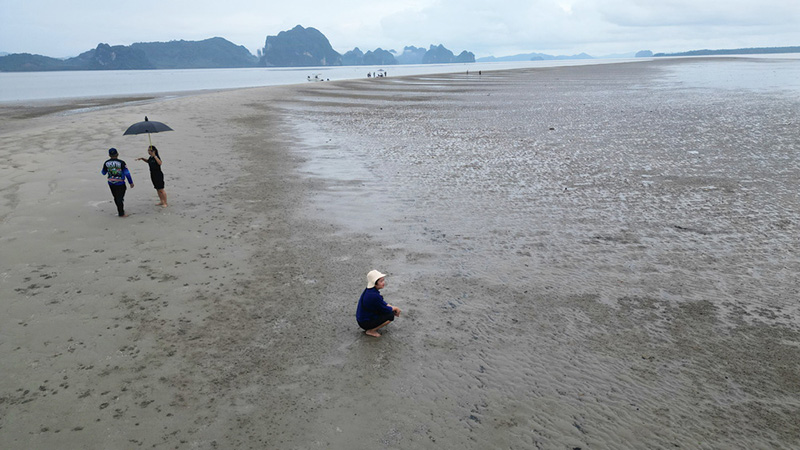 เกาะตั้งเลน พังงา ชมปูมดแดง