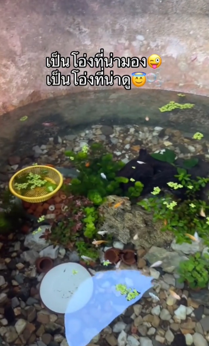 โอ่งเก่า