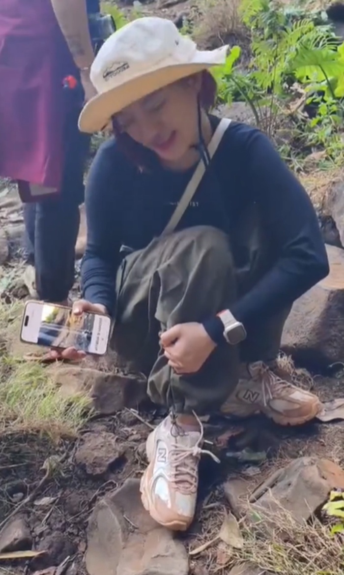 เดินป่า