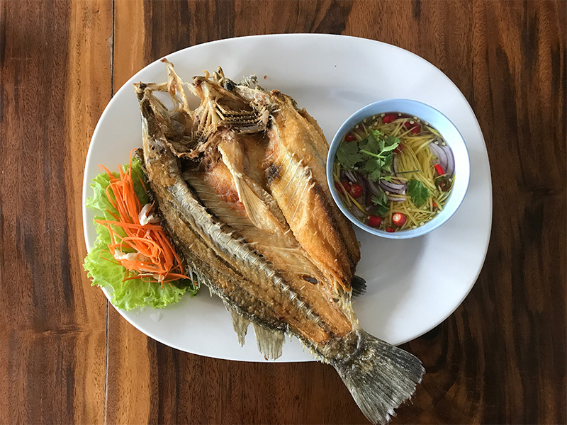 ปลาสำลี