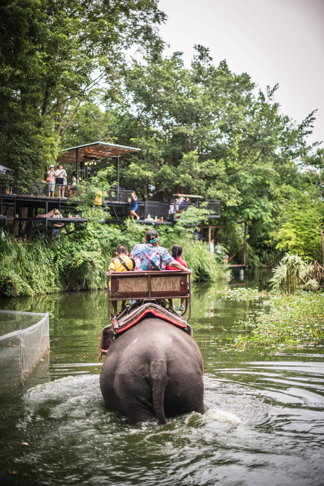 ที่เที่ยว มีช้าง