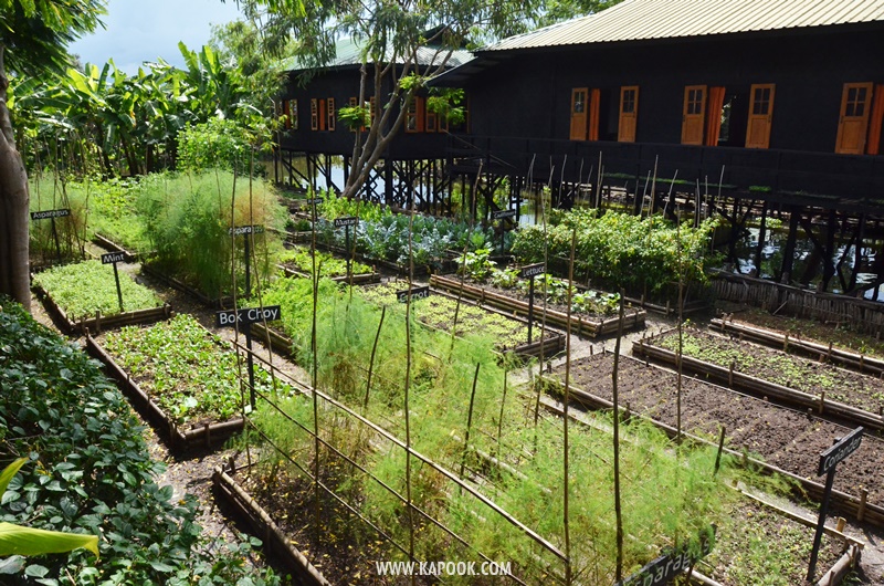 เที่ยวทะเลสาบอินเล เมียนมา