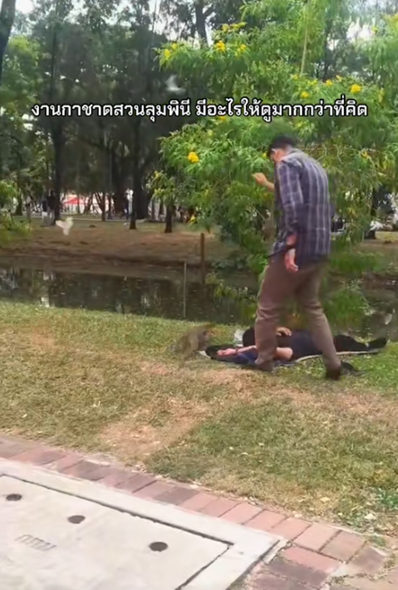 ปูเสื่อนอน