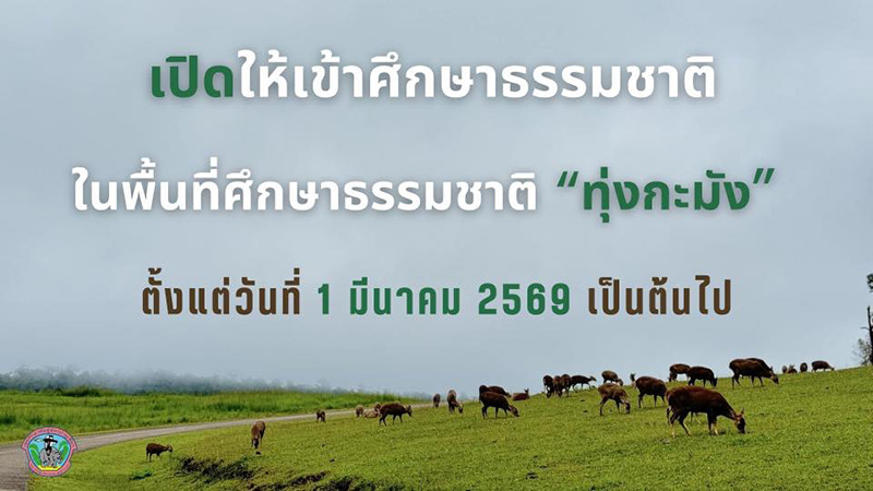 ทุ่งกระมัง 2569 เปิดการท่องเที่ยว