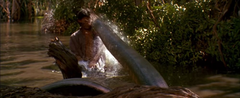 หนังสัตว์ประหลาด