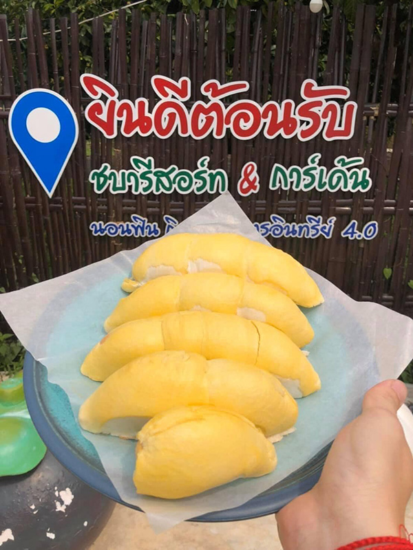 สวนผลไม้จันทบุรี 2566