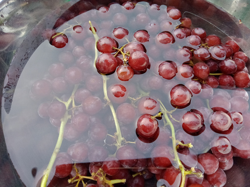 วิธีล้างองุ่นด้วยเกลือ