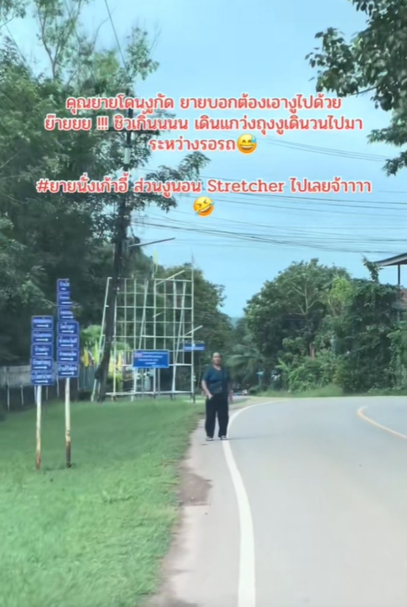 โดนงูกัด