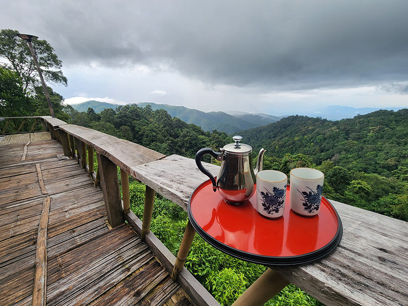 บ้านป่าโหล วิวระเบียงที่พัก