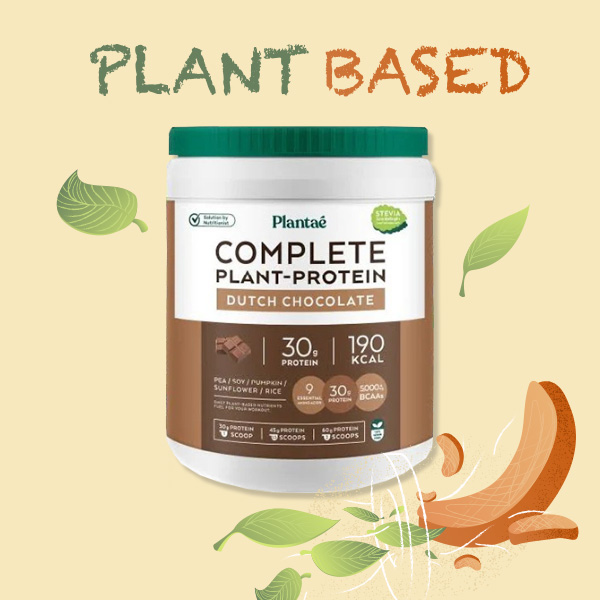 Plante COMPLETE PLANT-PROTEIN DUTCH CHOCOLATE