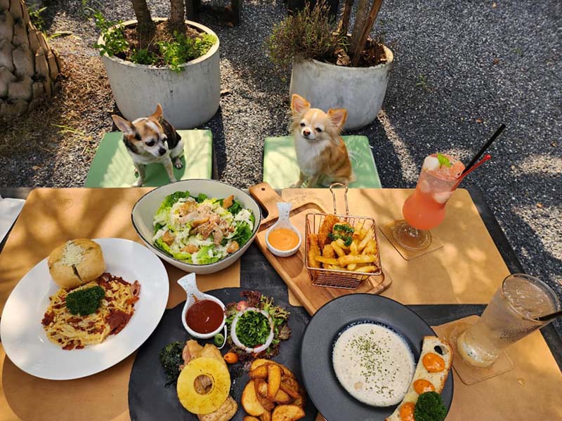 The O'sis Cafe & bar