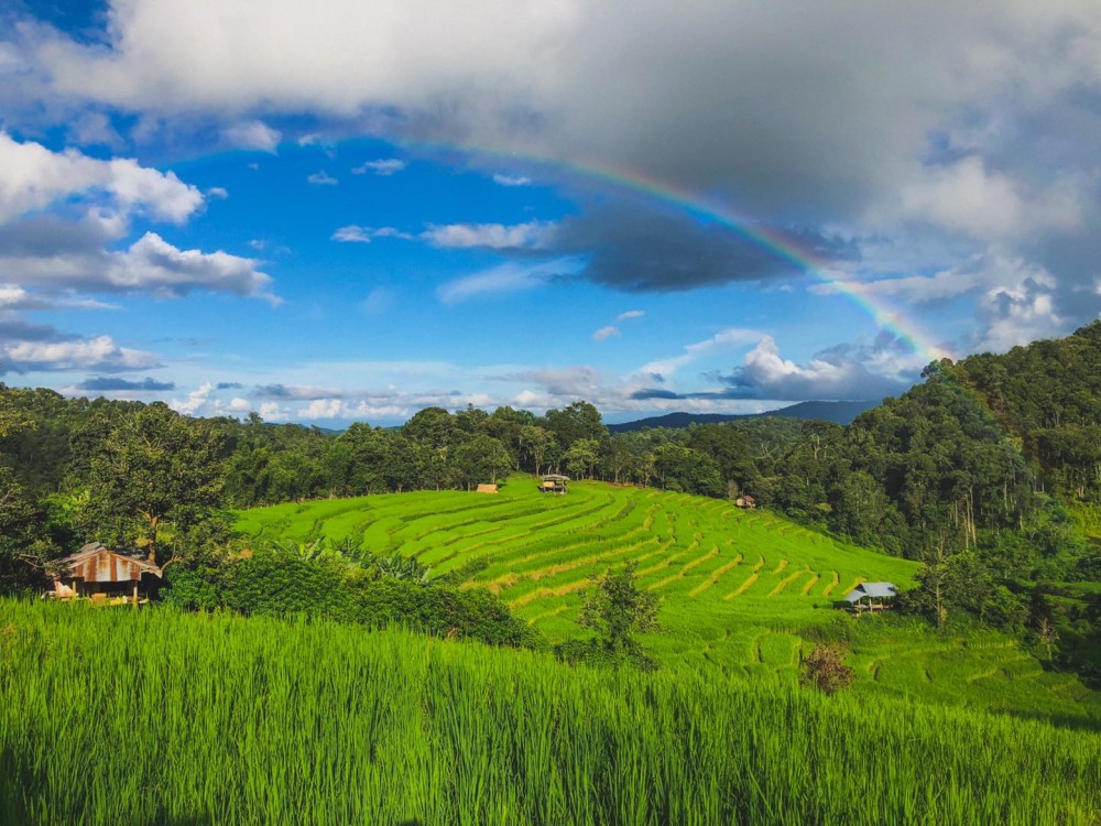 นาขั้นบันได บ้านปางมะโอ จังหวัดเชียงใหม่