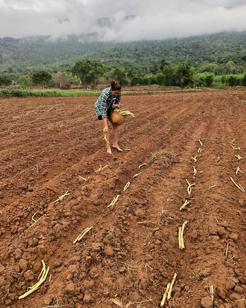 ยุ้ย ชิตพร