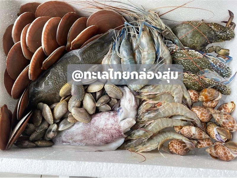 กล่องสุ่มอาหารทะเล