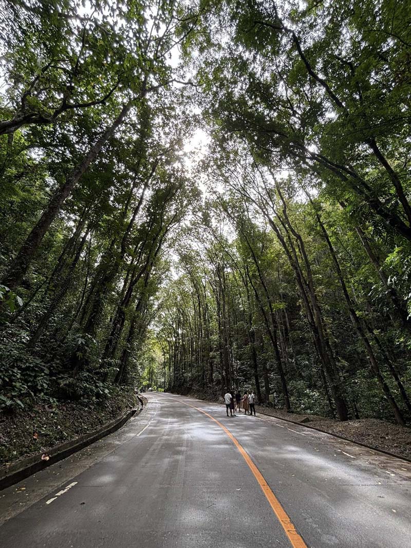 เที่ยวฟิลิปปินส์ เมือง Bohol กับ Panglao