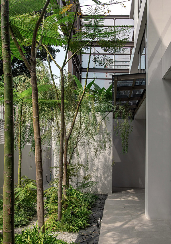 บ้านดินแดง แบบบ้านโมเดิร์นกลางกรุงเทพฯ ซ่อนคอร์ตยาร์ดสุดร่มรื่น