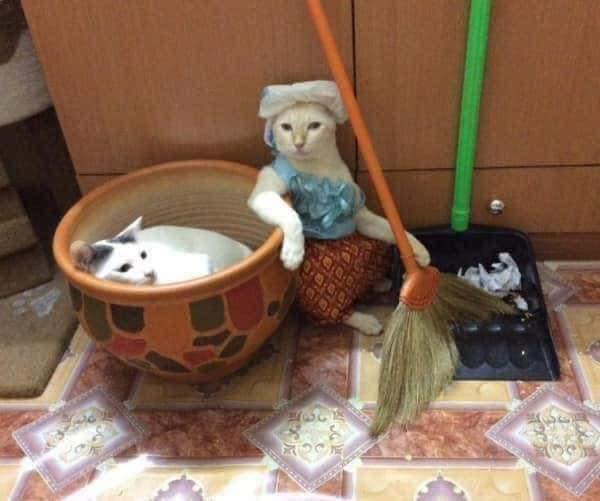 ทำงานบ้าน