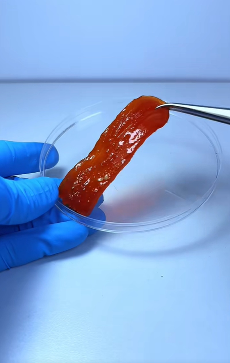 แซลมอนดอง