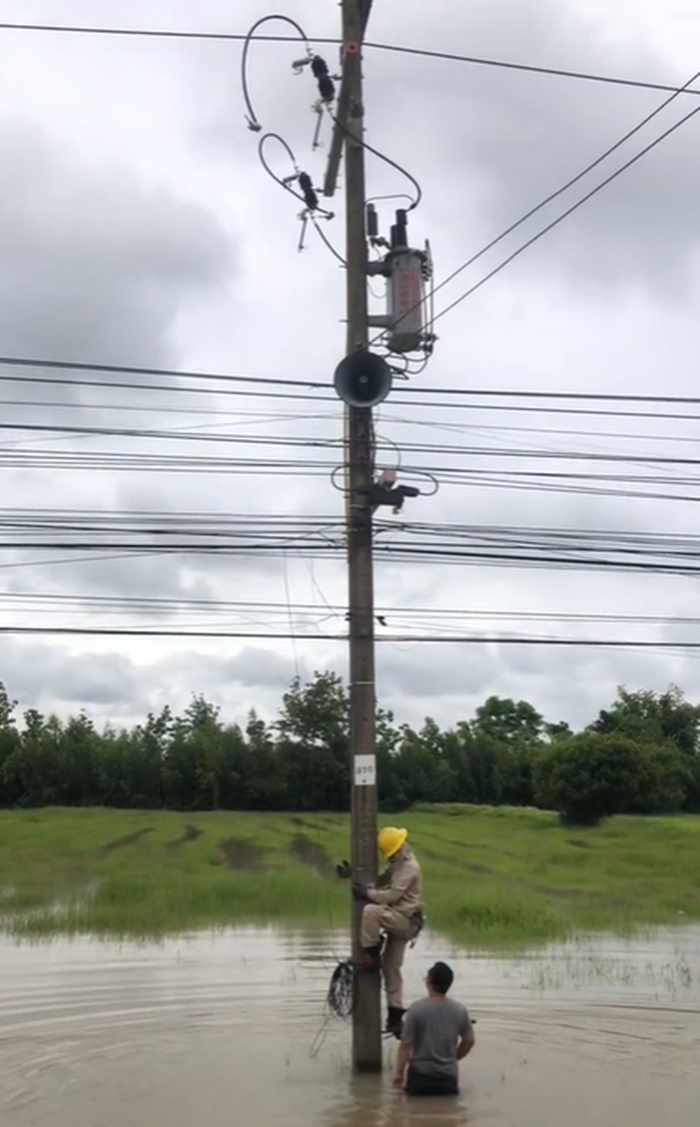 ซ่อมเสาไฟฟ้า
