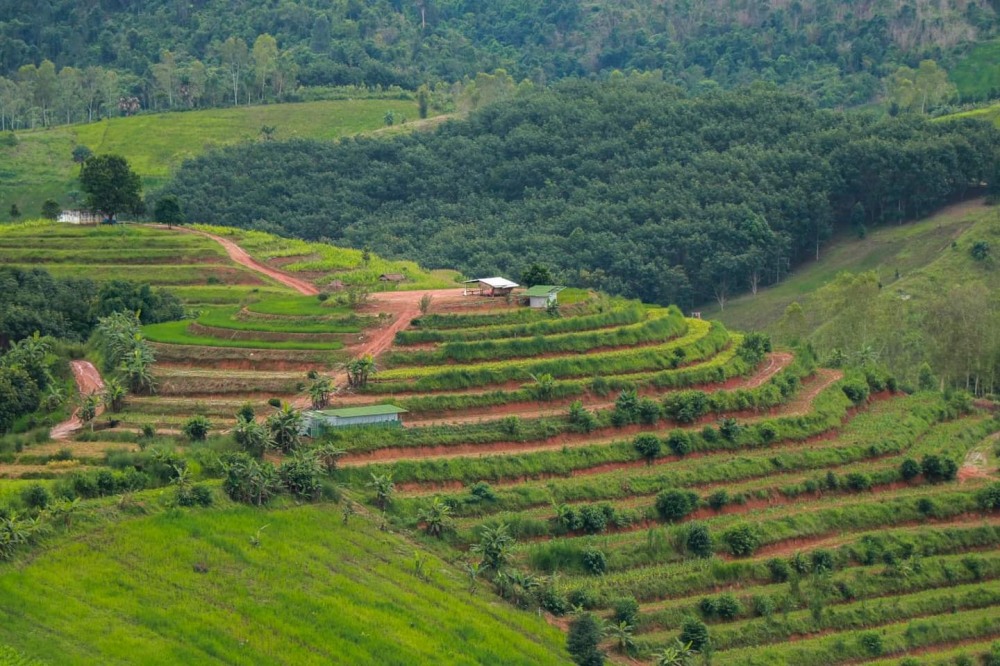 นาขั้นบันได บ้านน้ำจวง จังหวัดพิษณุโลก