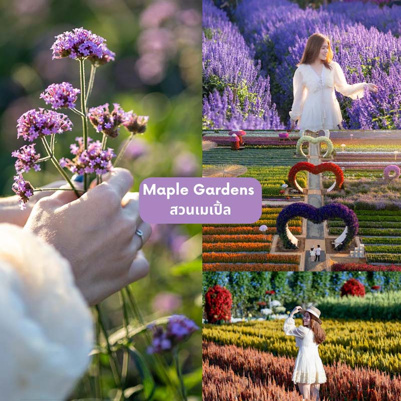 ที่เที่ยวกาญจนบุรี