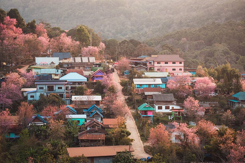 บ้านใหม่ร่องกล้า อุทยานแห่งชาติภูหินร่องกล้า จังหวัดพิษณุโลก