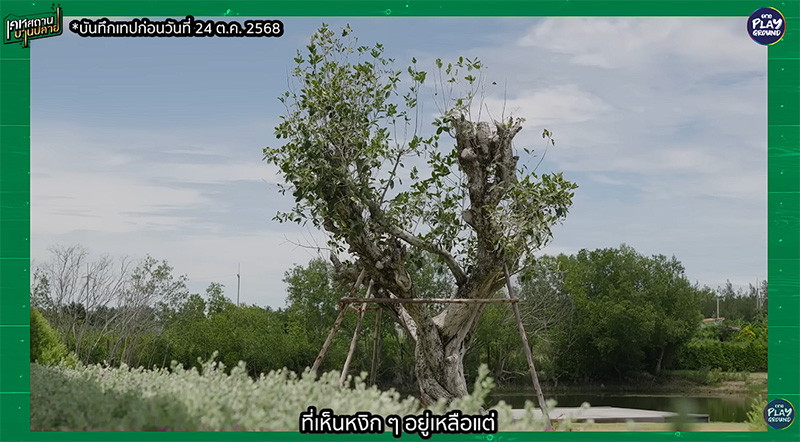 เปิดบ้านสวน บิว - ธนิน