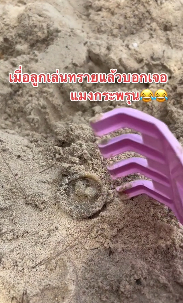 เล่นทราย