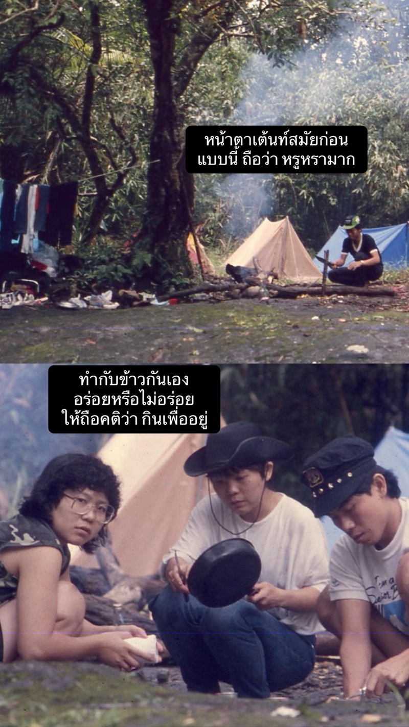 เดินป่า