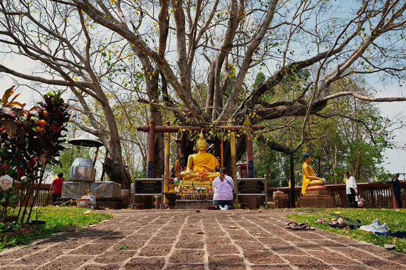 วัดต้นโพธิ์ศรีมหาโพธิ จังหวัดปราจีนบุรี