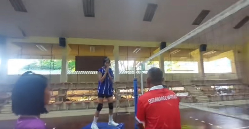 วอลเลย์บอล