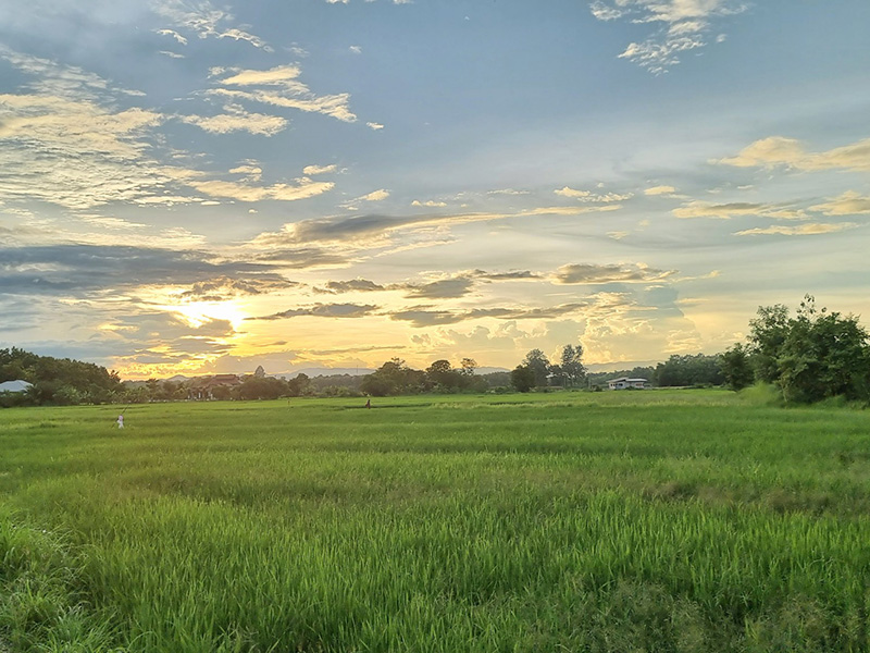 เที่ยวแพร่
