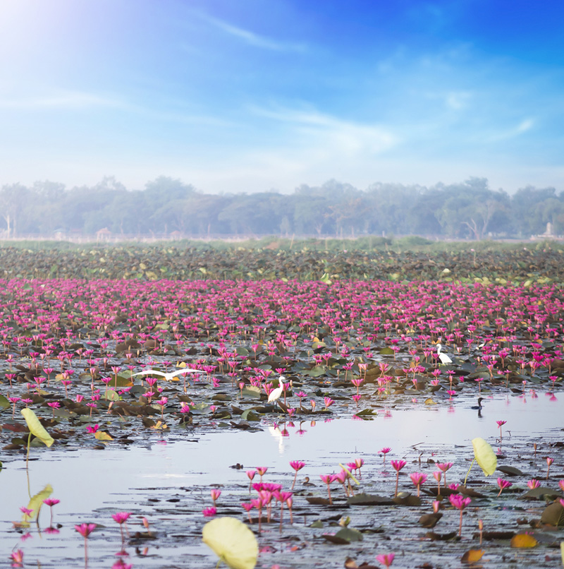 สถานที่ท่องเที่ยวภาคกลาง