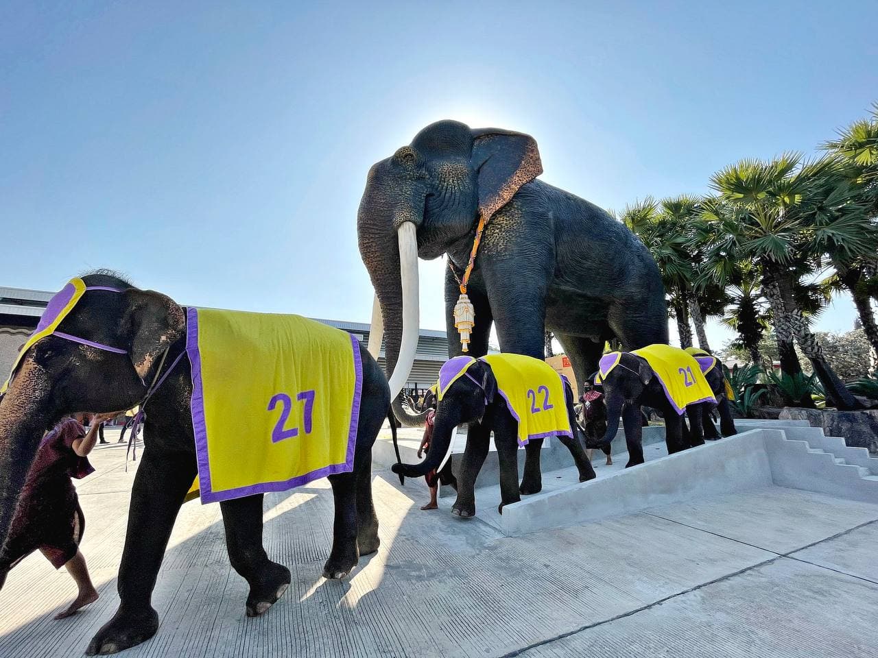 สวนนงนุช พัทยา เปิดตัวรูปปั้น พญาคชสาร