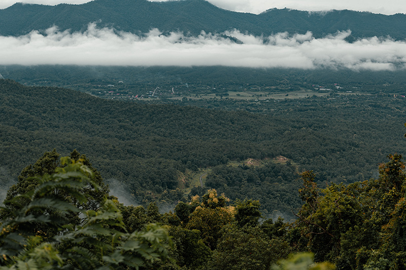 ดอยขุนตาล 2569 เปิดท่องเที่ยว