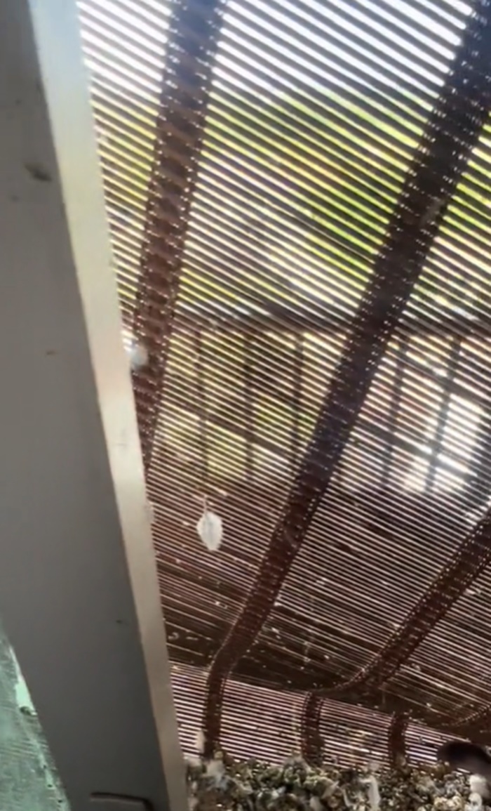 ล้างแอร์