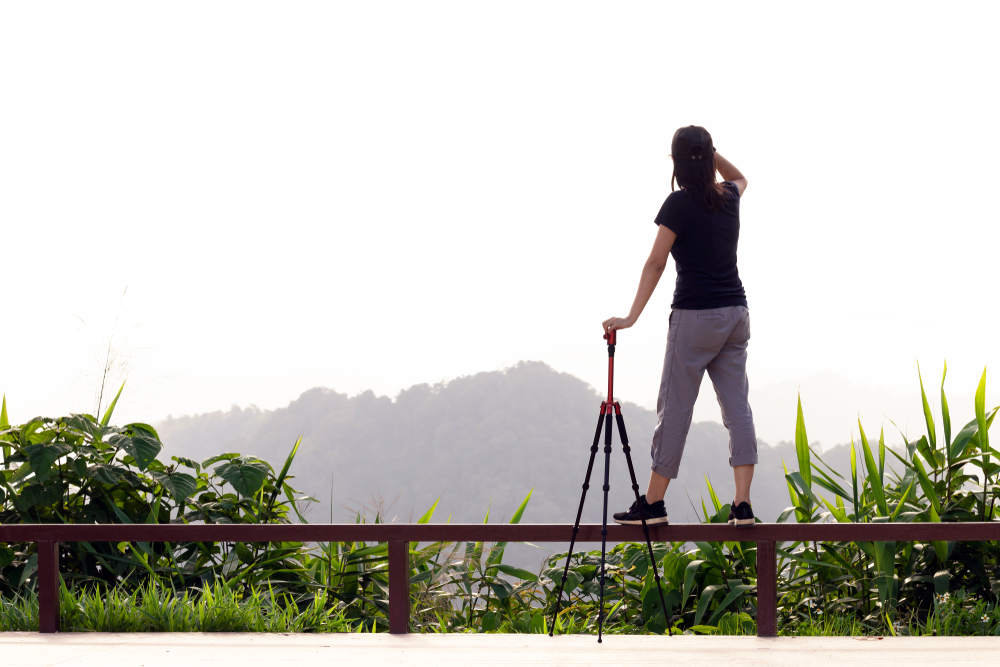 เขาพะเนินทุ่ง 2566