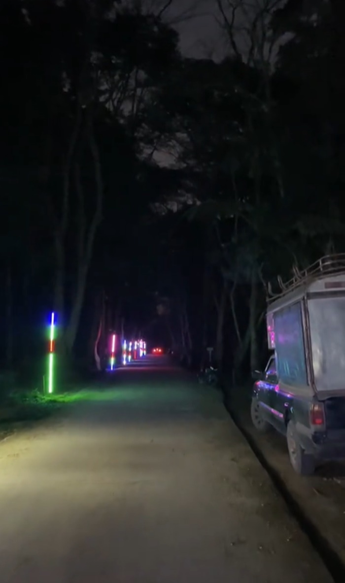 งานวัดป่า