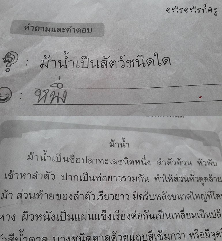 ตอบคำถาม