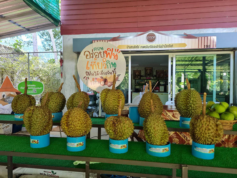 บ้านสวนอิสรีย์เกษตรอินทรีย์และฟาร์มม้าเมืองจันท์ เที่ยวสวนผลไม้จันทบุรี 2568