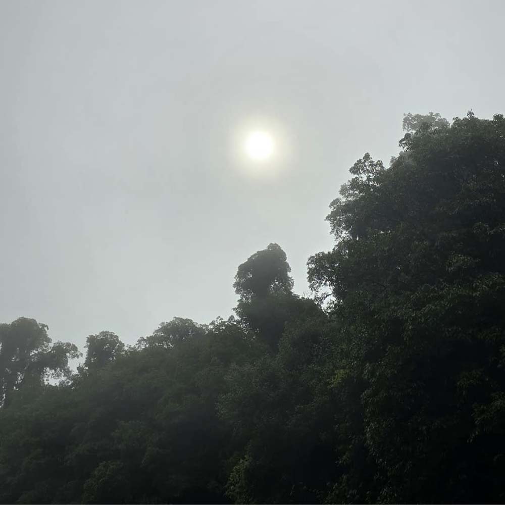 เที่ยวดอยอินทนนท์หน้าฝน