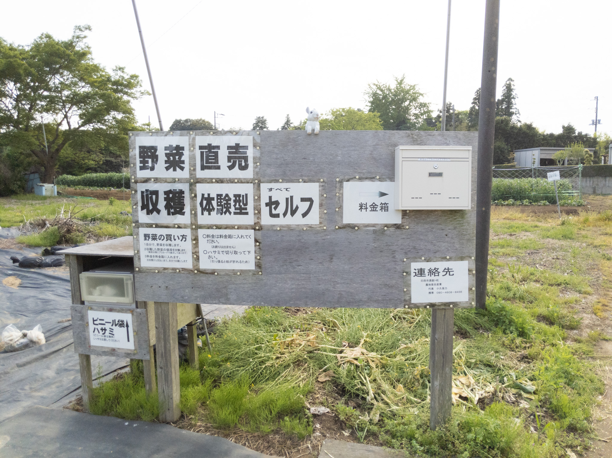 ร้านขายผัก