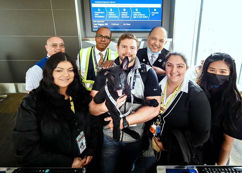 ลูกหมา โดนทิ้งที่สนามบิน ชีวิตพลิก