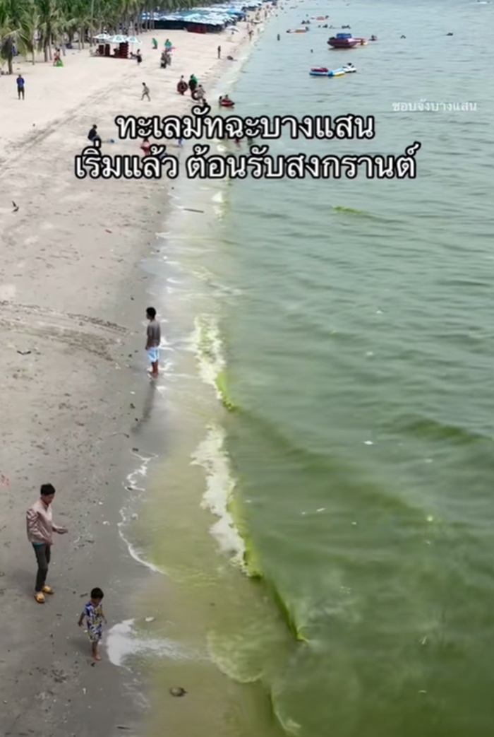 ทะเลชาเขียว